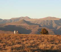 South Africa’s Eastern Cape features top-notch game reserves, including Samara Private Game Reserve. // © 2011 Samara Private Game Reserve